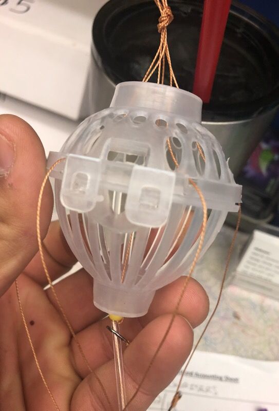 Chum bucket rig guaranteed to catch 🐠