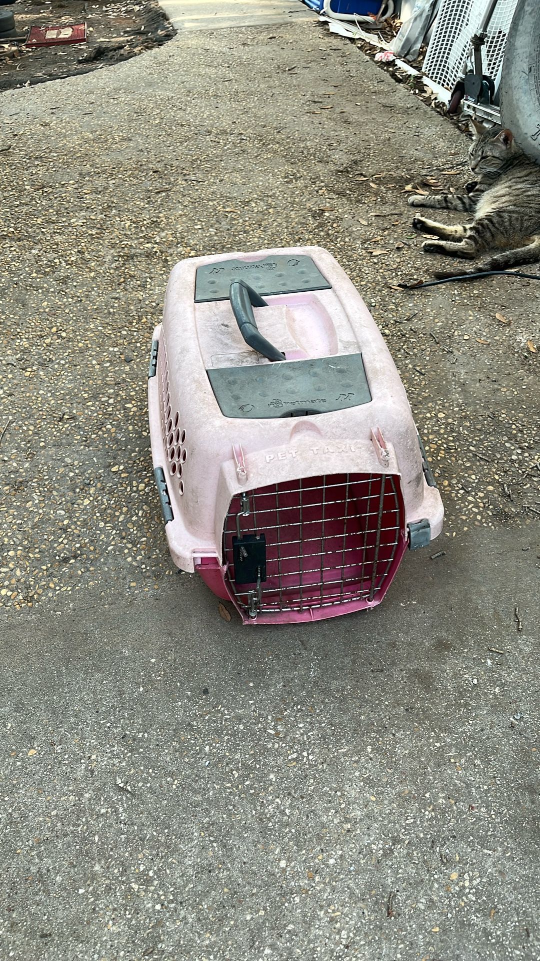 Pet Taxi