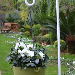 6 White Garden Hooks 