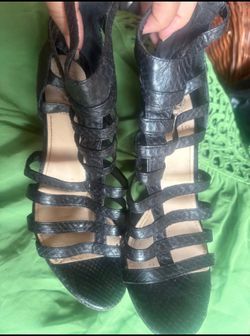 Vince Camuto