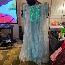 Elsa Costume