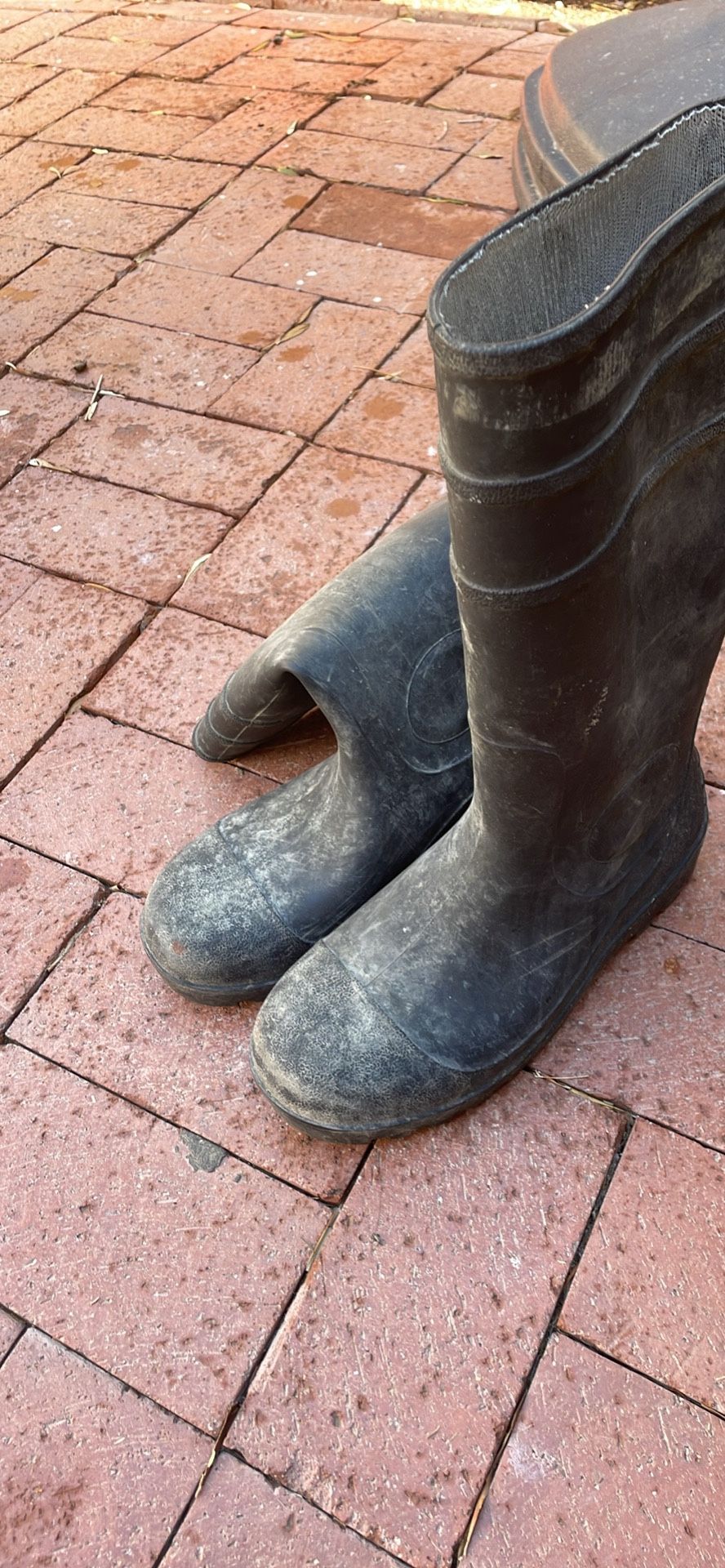 Rubber Boots