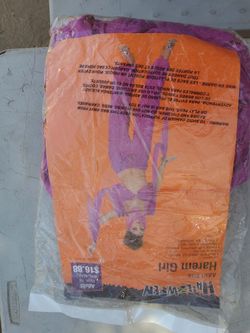 Harem girl adult size 14