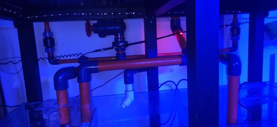 MODE Aquarium  48x24x20 rimless starfire