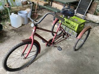 3 week bike