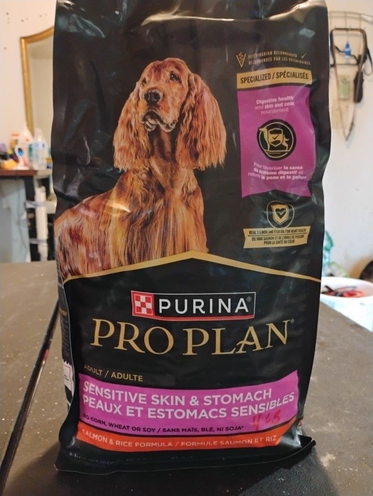 Dog Food Purina