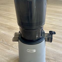 Cold Press Juicer