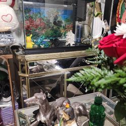 25 Gallons Fish Tank 