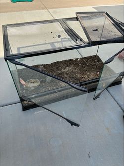 40 gallon and 10 gallon tanks