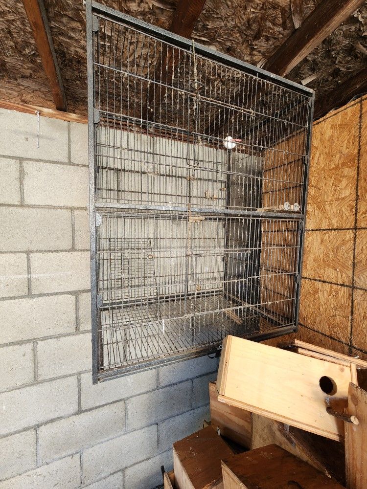 Birds Cage