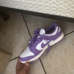 Nike Dunk Low (Women’s 11 / Men’s 9.5):