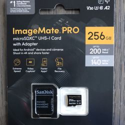 SanDisk Micro SDXC card 