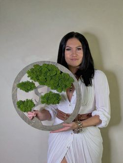 REAL PRESERVED MOSS BONSAI TREE
