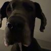 aidennbailey