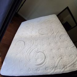 Used Queen Plush Mattress