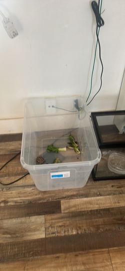 Bin