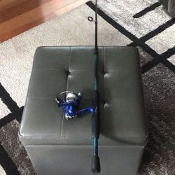 Reverb Rod and Firebird Reel