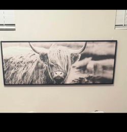 Highland Cow Frame