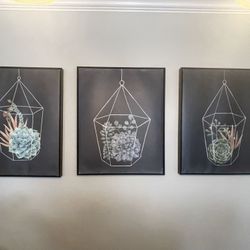 4 piece succulent wall art 31x25 each
