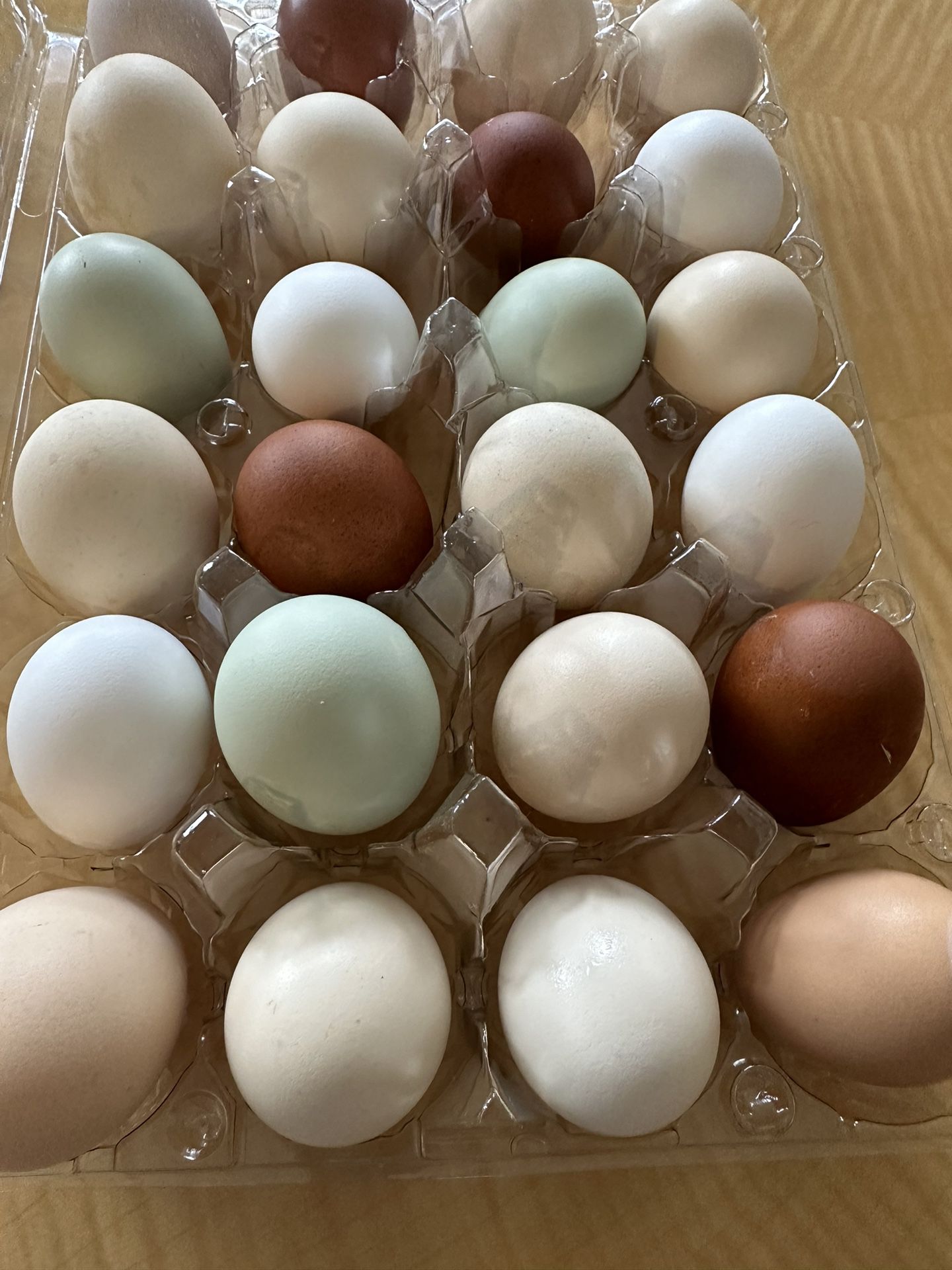 Fresh Eggs From Free Range Chickens