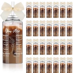 Skylety 36 Pack Christian Gifts Bulk for Mom Teacher Mothers' Day Bible Verse Appreciation Gift Cups Bulk with Lid Straw 13.5 oz Plastic Religious Gif
