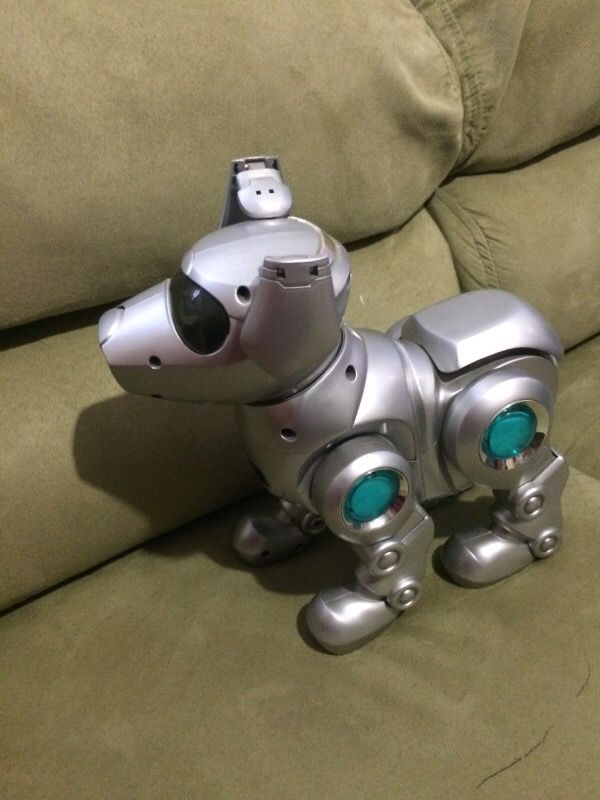 Robotic Dog