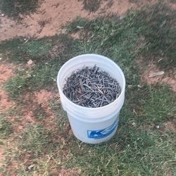 80 Lbs Worth Of Nails Double Headed 8D