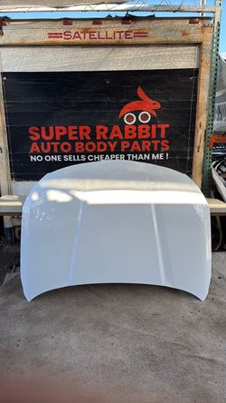 2020 Telluride Hood OEM 2025
