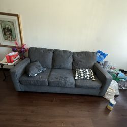 Interior couch Shampoo