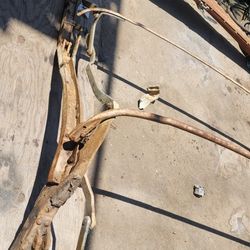 46 47 48 Cadillac Buick GM Convertable RACK