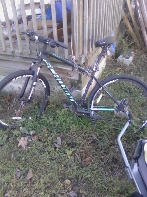 Schwinn 29" Wheel Mountain Bike