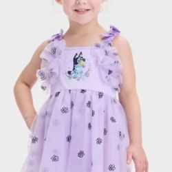 Bluey Flower Embroidered Purple Kids Dress 4t