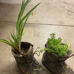 Flowers in boots