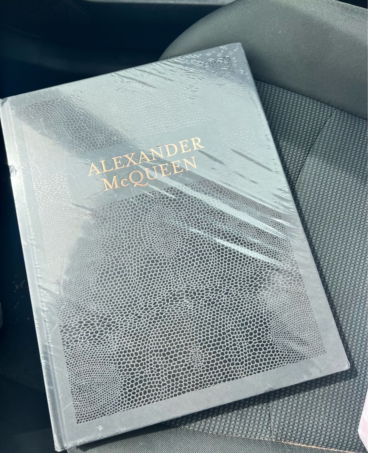 Alexander McQueen Hardback