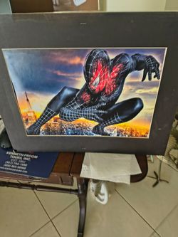 Spiderman wall picture 20x13