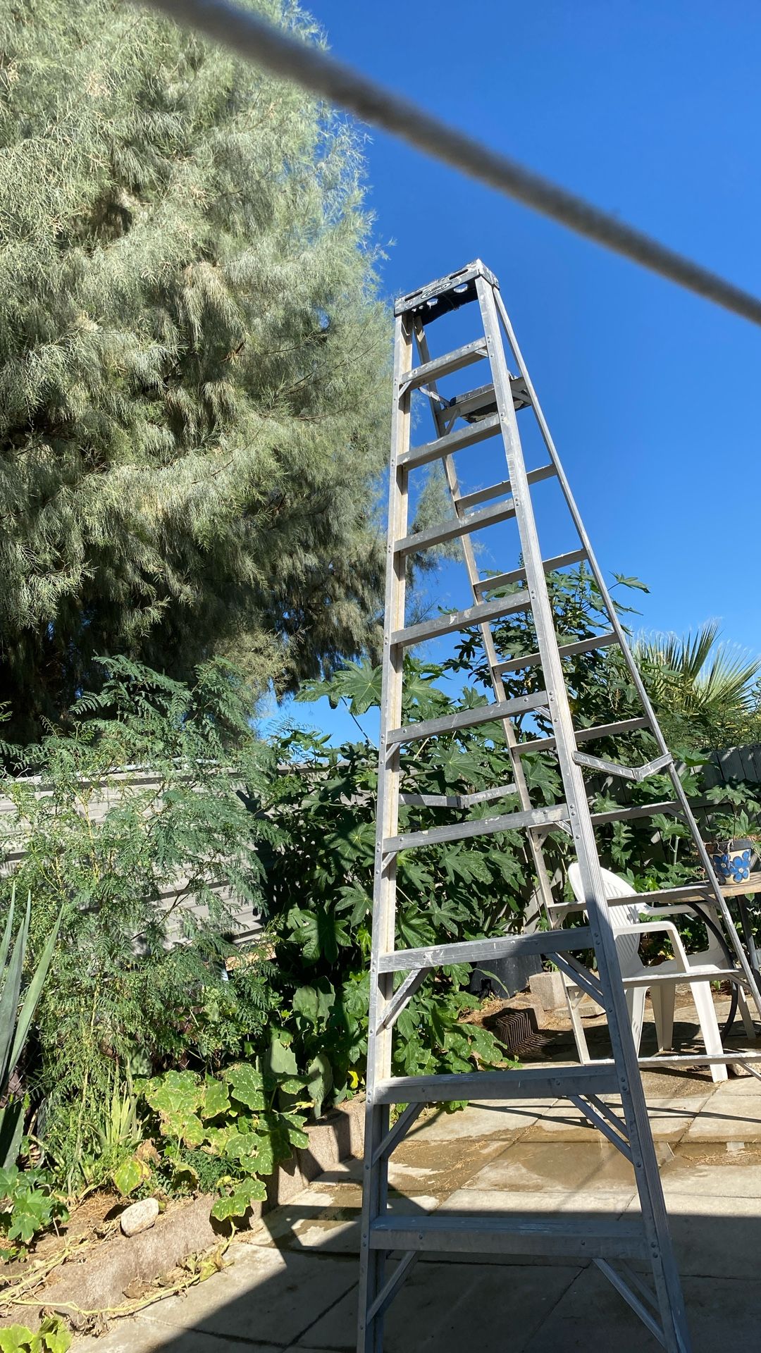 10ft Ladder 