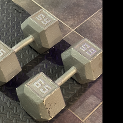 Set of 65 lbs Dumbbells