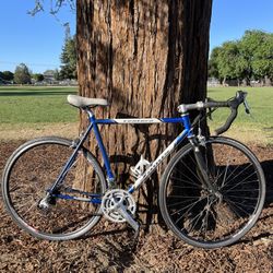 Jamis Ventura Road Bike 