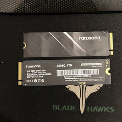 Fanxiang 1 TB NVMe SSD