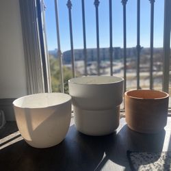 Plant Potters