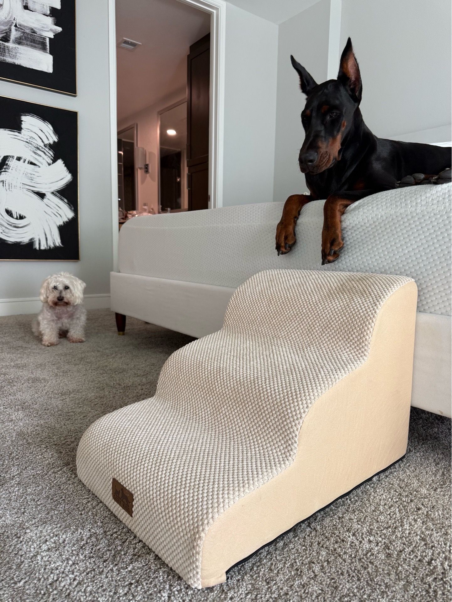 Dog Stairs for Bed or Couch