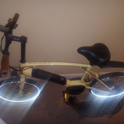 Electric Bike