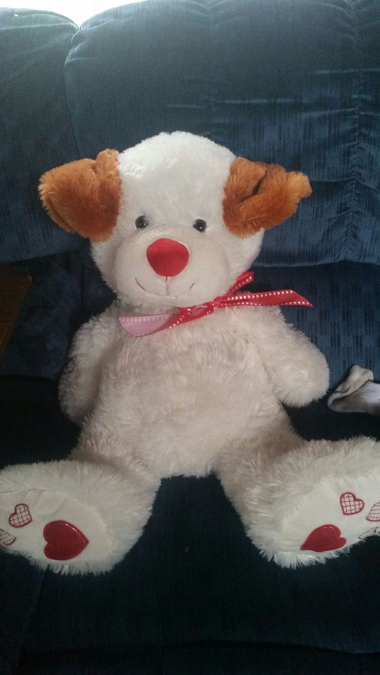 Larger brand new Valentine teddy bear smoke-free home