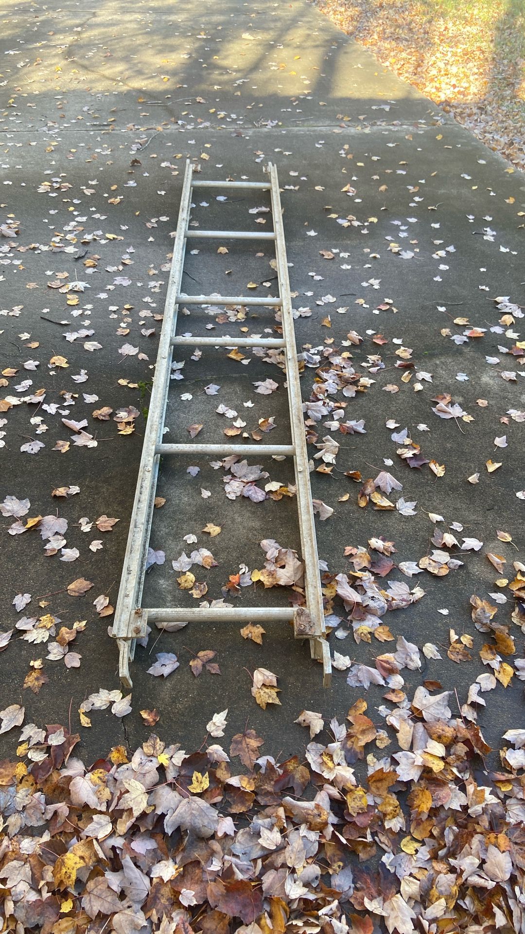 Scaffold Deck Ladder