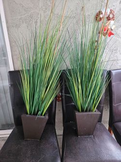 Decoration