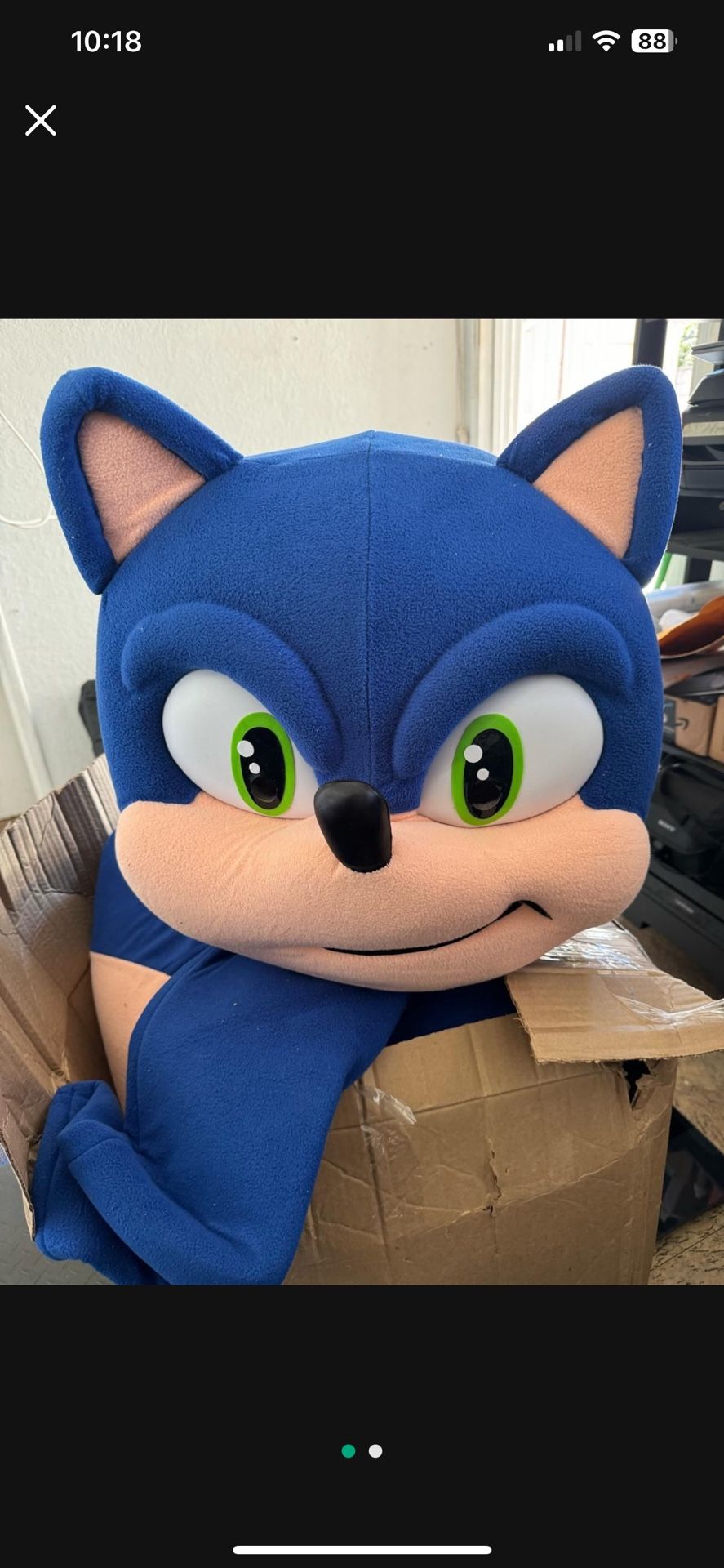 Sonic And Friend Costumes