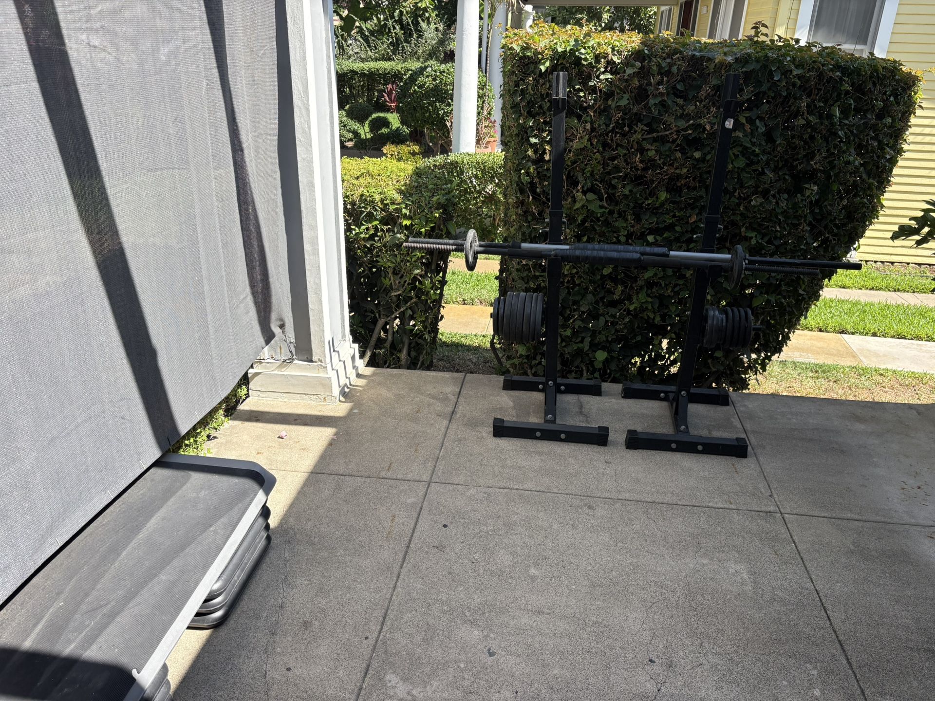 Weights And Step Riser