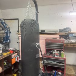Century Punching Bag
