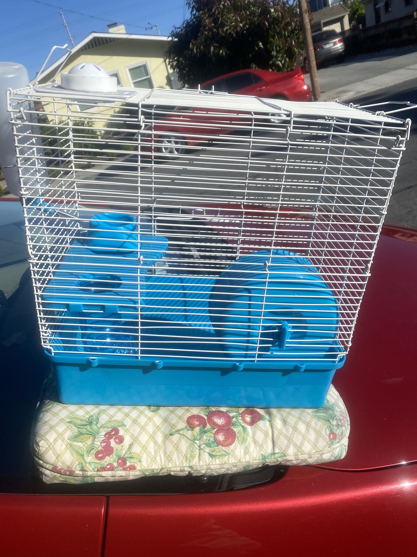 Birds Cage Or Hamster House New