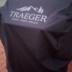 Traeger Grill Smoker6
